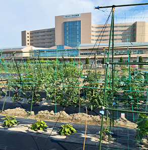 フロアマップ　菜園